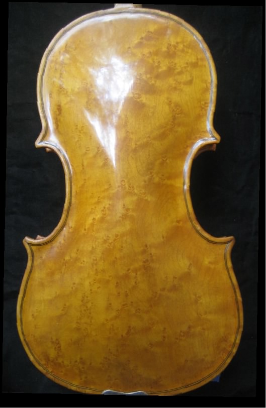 2007_SENKOW_VIOLIN_BACK