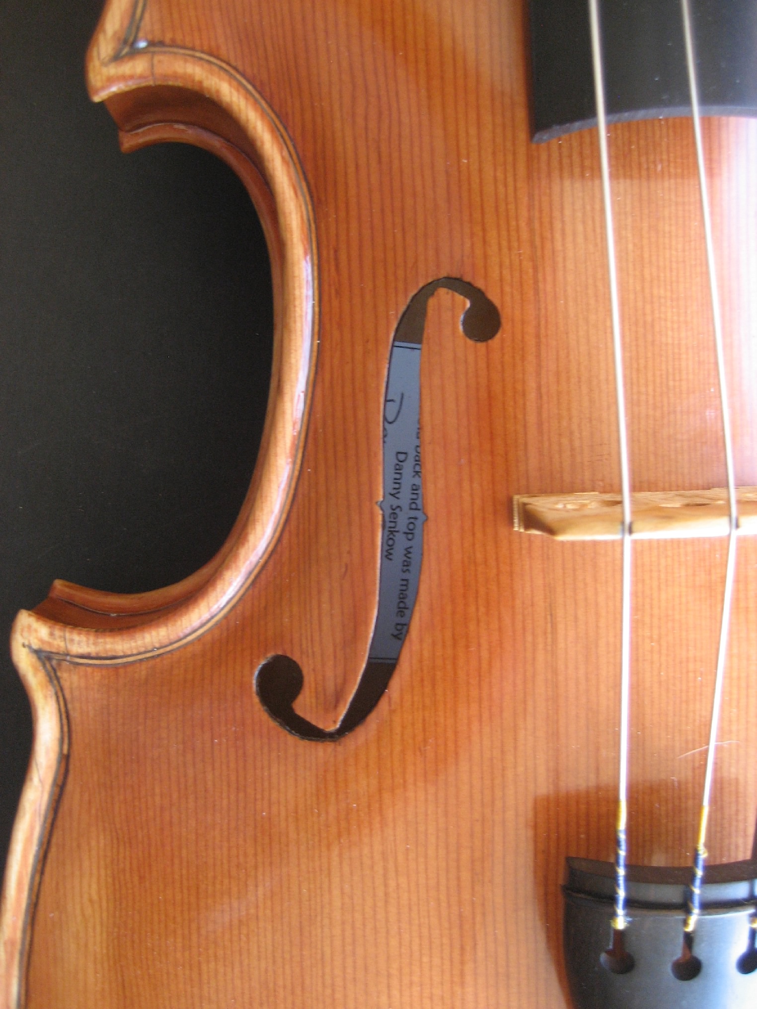 2010_viola_f_hole