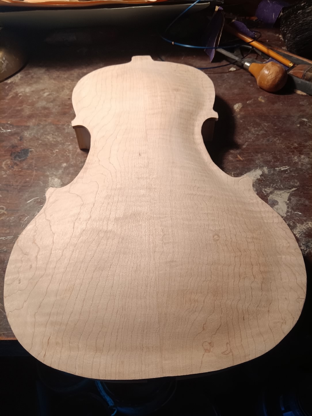2025_violin