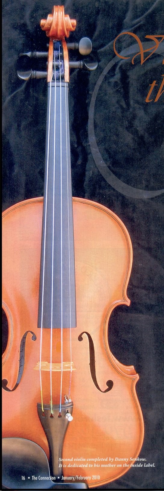 dps_violin